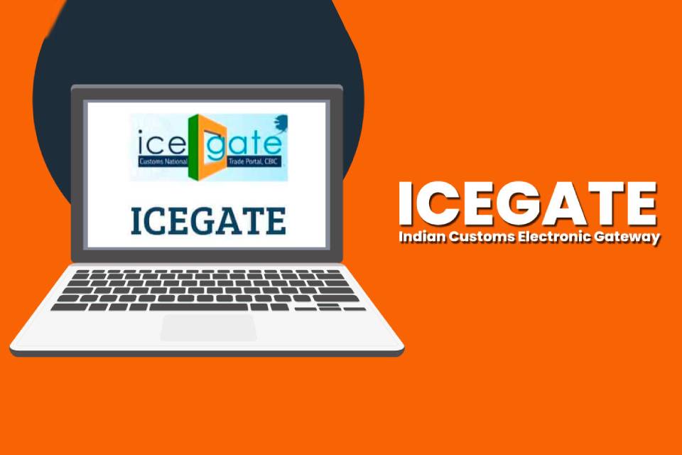 Icegate Enquiry